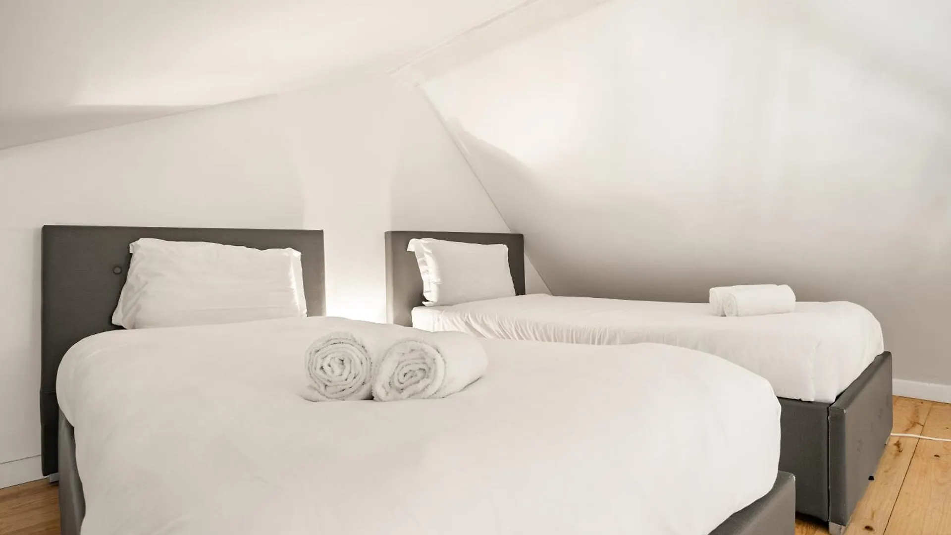 Apartment Spacious & Luxurious Penthouse In The Heart Of Lisbon Portugal